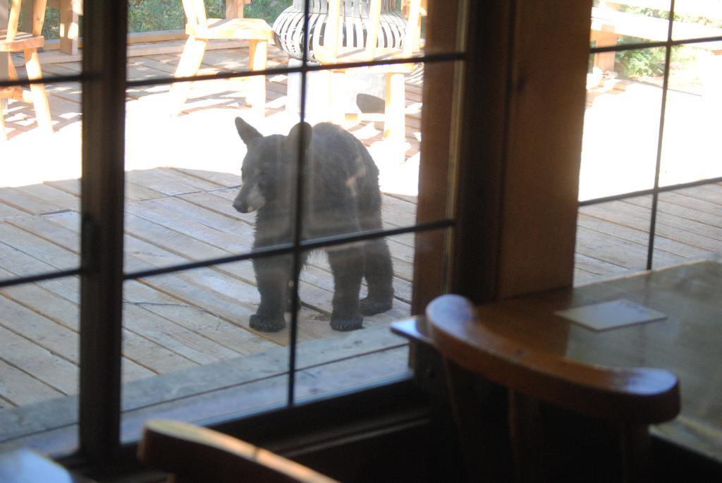 Medicine Bow Lodge Tenmile Eksteriør bilde